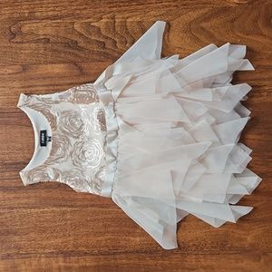 Zunie Girl fancy dress, size 2T